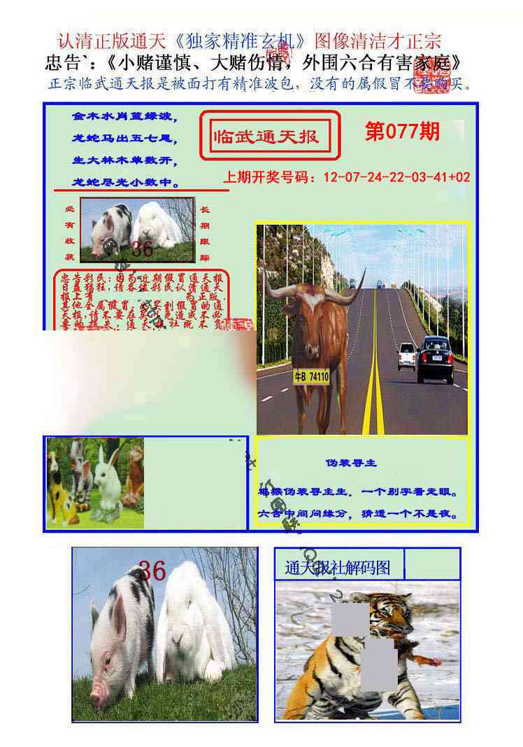077期临武通天报[图]